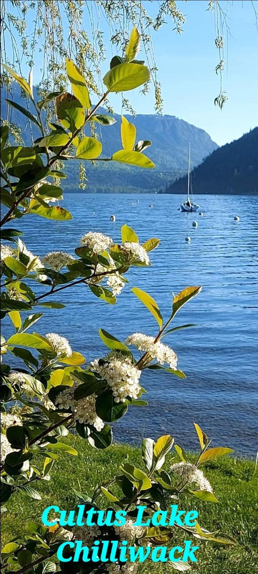 Private 2 Bedrooms Suite Near Hwy 1, Cultus Lake, Heritage Park, Fishing, Coliseum Chilliwack Szoba fotó
