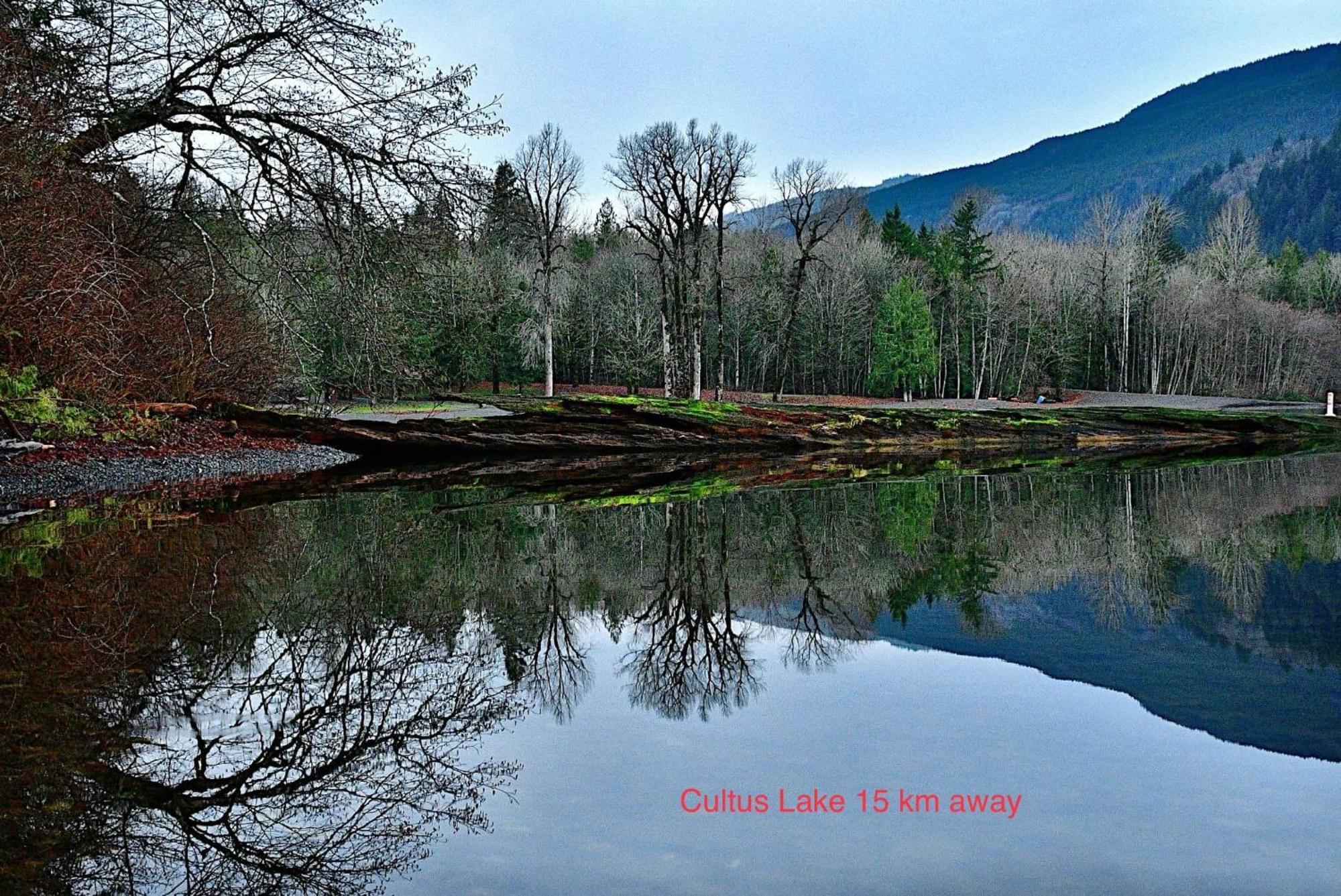 Private 2 Bedrooms Suite Near Hwy 1, Cultus Lake, Heritage Park, Fishing, Coliseum Chilliwack Kültér fotó